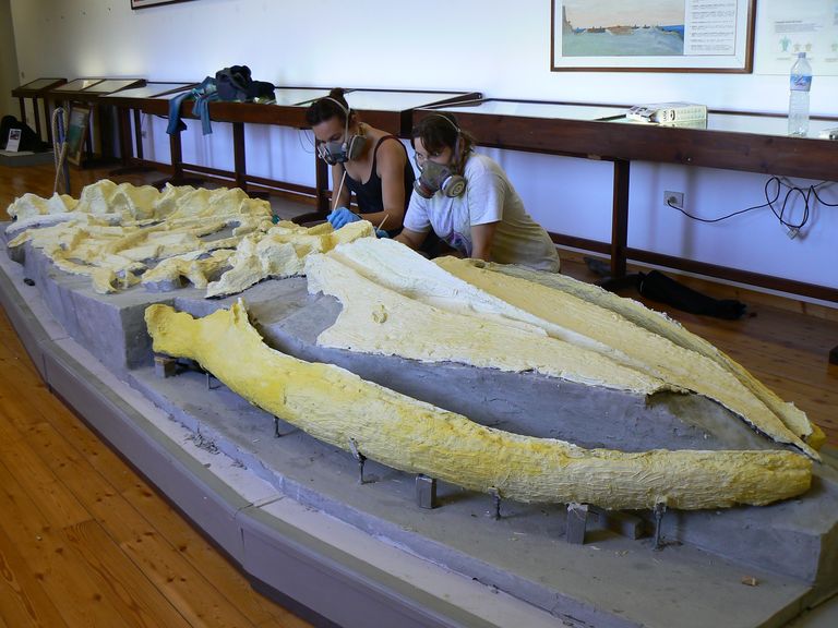 Festa scuola Ale 092